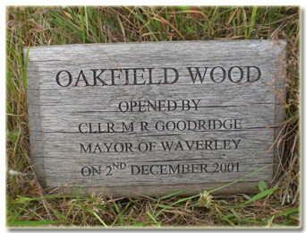 oakfield wood,shamley green
