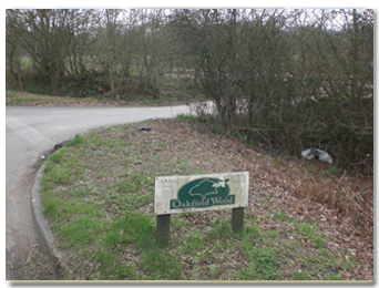 shamley green, burial plots entrance way