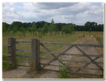 shamley green, burial site entrance